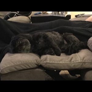 Meet your Posher, Bill